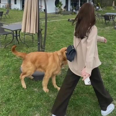 恐怖南瓜头